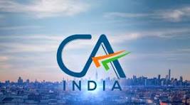 Chartered Accountant